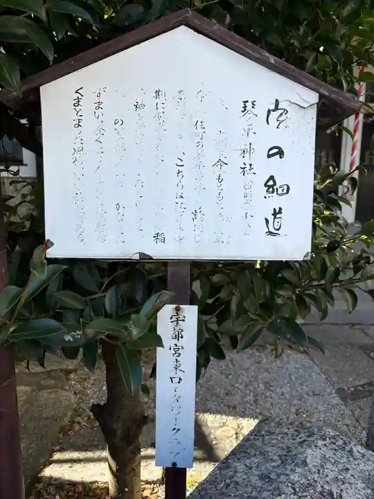 琴平神社(栃木県)