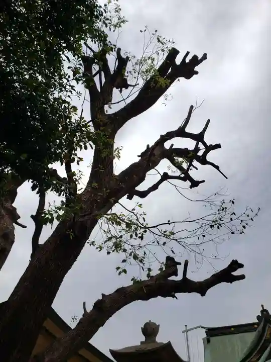 諏訪神社(東京都)