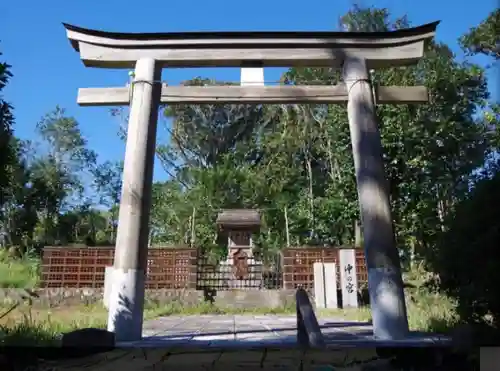 大善院（観蓮寺大善院）の鳥居