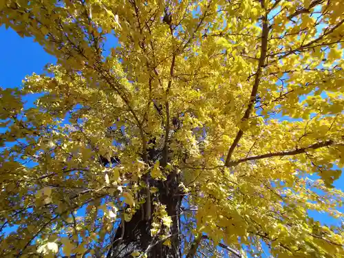 浄光寺(愛知県)