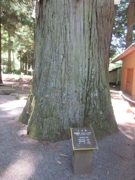 河口浅間神社のその他建物