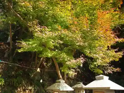 杉尾神社(和歌山県)
