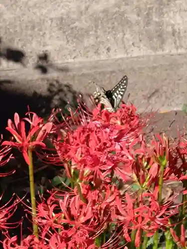 本興寺(神奈川県)