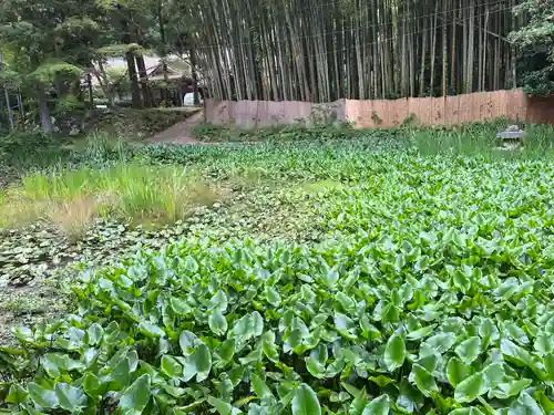 竹林寺(広島県)