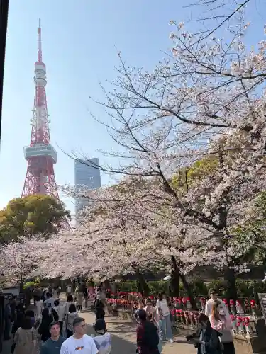 増上寺の{uncategorized: "未分類", other: "その他", undefined: "問題あり", building: "その他建物", grave: "お墓", sacred_gate: "鳥居", guardian: "狛犬", statue: "像", buddha: "仏像", history: "歴史", nature: "自然", garden: "庭園", animal: "動物", pagoda: "塔", temizu: "手水舎", mountain_gate: "山門・神門", sanctuary: "本殿・本堂", subordinate: "末社・摂社", art: "芸術", scenery: "景色", jizo: "地蔵", ema: "絵馬", goshuin: "御朱印", omikuji: "おみくじ", items: "授与品その他", amulet: "お守り", goshuincho: "御朱印帳", eats: "食事", festival: "お祭り", votive_dance: "神楽", shichigosan: "七五三参", wedding: "結婚式", experience: "体験その他", initially: "初詣", around: "周辺", anti_infection: "感染症対策"}