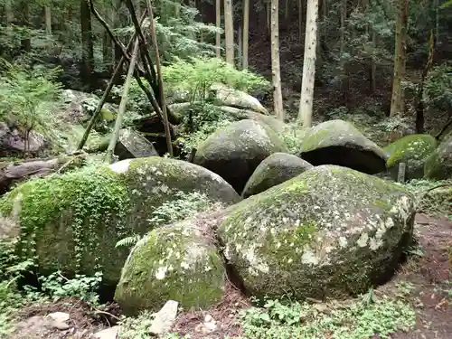 名草厳島神社の自然