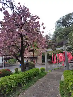 白髭神社(群馬県)