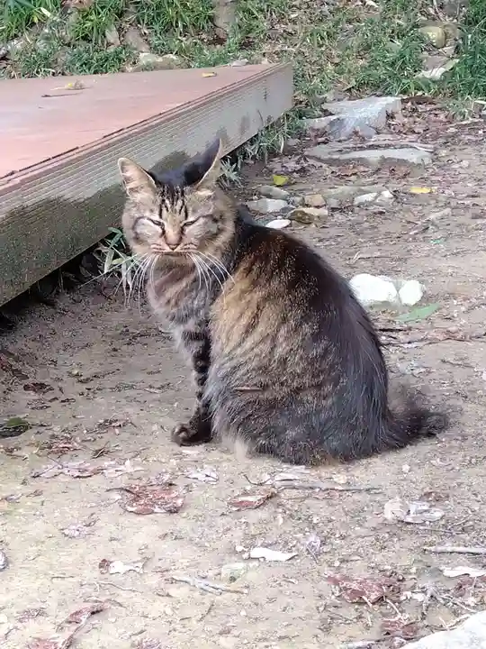 村雲御所瑞龍寺門跡(滋賀県)