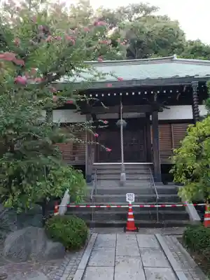 遍照寺の本殿・本堂