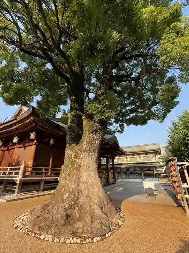 湯島天満宮(東京都)