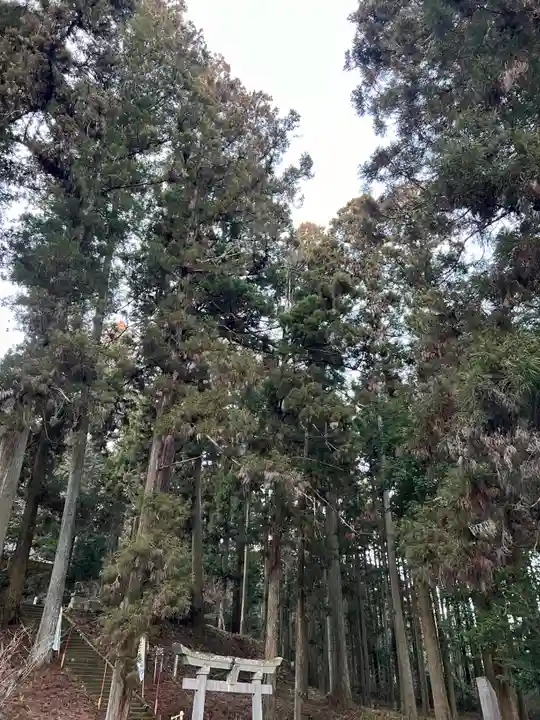 大宮温泉神社(栃木県)
