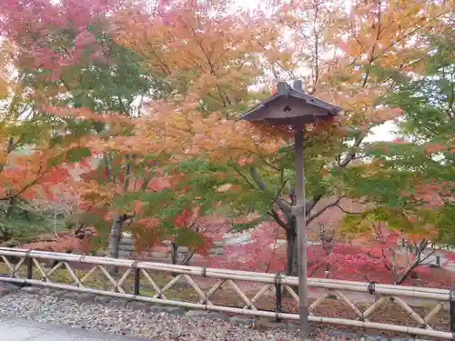 根来寺 智積院の庭園