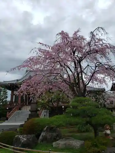 最勝寺(東京都)