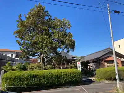 金性寺(三重県)