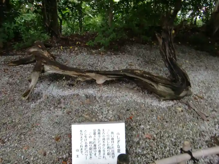 高蔵寺(東京都)
