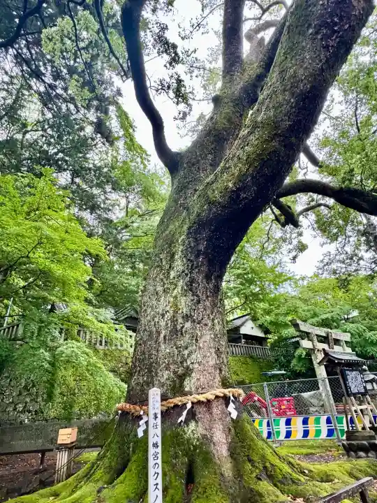 事任八幡宮(静岡県)
