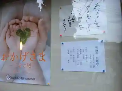 海国寺の体験その他