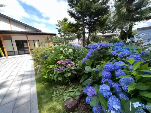 西野神社の自然