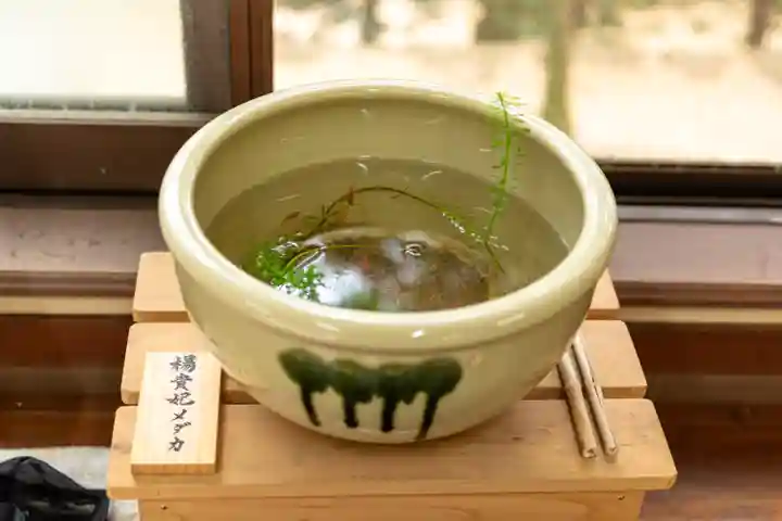 住吉神社(山口県)