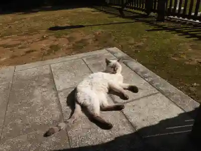 一乗寺(兵庫県)