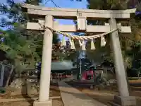 下鶴馬氷川神社(埼玉県)