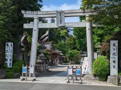 亀ケ池八幡宮の鳥居