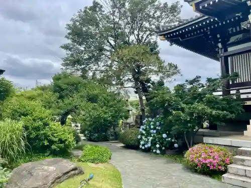 圓照寺(東京都)