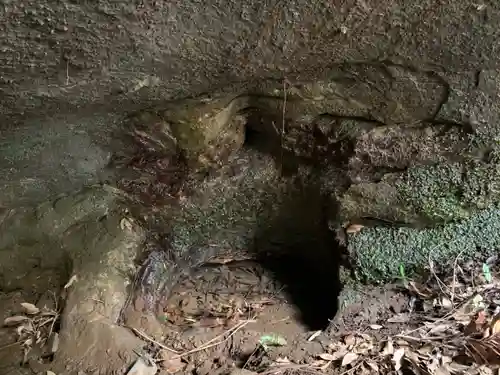 神社(名称不明)の自然