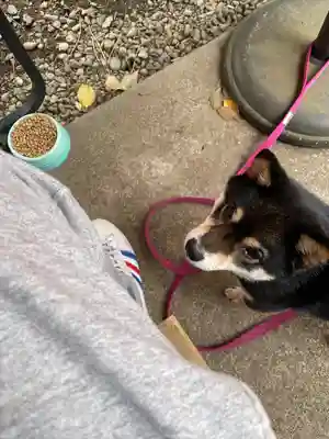 上目黒氷川神社(東京都)