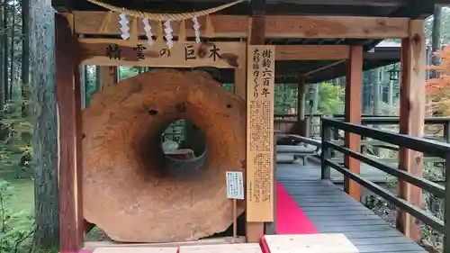 日光大室高龗神社の自然
