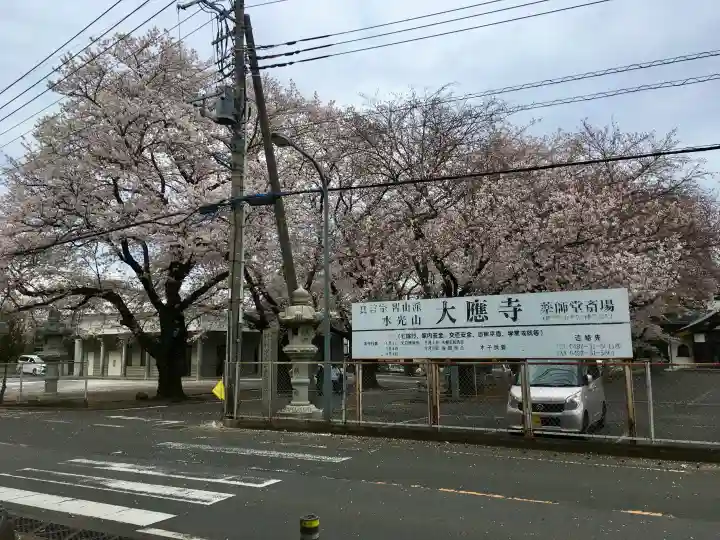 大應寺の{uncategorized: "未分類", other: "その他", undefined: "問題あり", building: "その他建物", grave: "お墓", sacred_gate: "鳥居", guardian: "狛犬", statue: "像", buddha: "仏像", history: "歴史", nature: "自然", garden: "庭園", animal: "動物", pagoda: "塔", temizu: "手水舎", mountain_gate: "山門・神門", sanctuary: "本殿・本堂", subordinate: "末社・摂社", art: "芸術", scenery: "景色", jizo: "地蔵", ema: "絵馬", goshuin: "御朱印", omikuji: "おみくじ", items: "授与品その他", amulet: "お守り", goshuincho: "御朱印帳", eats: "食事", festival: "お祭り", votive_dance: "神楽", shichigosan: "七五三参", wedding: "結婚式", experience: "体験その他", initially: "初詣", around: "周辺", anti_infection: "感染症対策"}