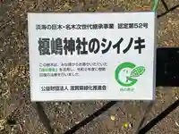 榎嶋神社(白川神社御旅所)(滋賀県)