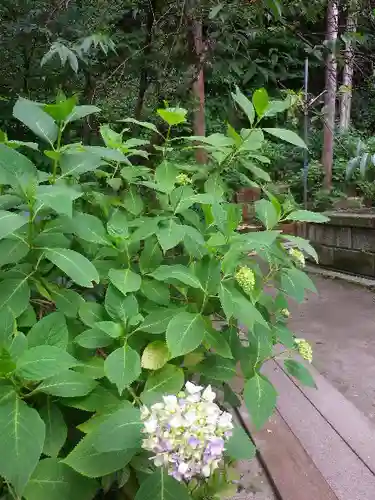 御霊神社の自然