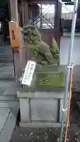 猿田彦神社の狛犬