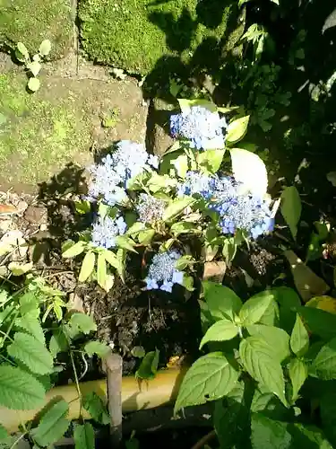 御霊神社の自然