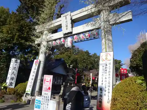 亀ケ池八幡宮の鳥居