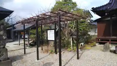 大地主神社(石川県)