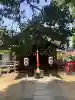 大津神社の{uncategorized: "未分類", other: "その他", undefined: "問題あり", building: "その他建物", grave: "お墓", sacred_gate: "鳥居", guardian: "狛犬", statue: "像", buddha: "仏像", history: "歴史", nature: "自然", garden: "庭園", animal: "動物", pagoda: "塔", temizu: "手水舎", mountain_gate: "山門・神門", sanctuary: "本殿・本堂", subordinate: "末社・摂社", art: "芸術", scenery: "景色", jizo: "地蔵", ema: "絵馬", goshuin: "御朱印", omikuji: "おみくじ", items: "授与品その他", amulet: "お守り", goshuincho: "御朱印帳", eats: "食事", festival: "お祭り", votive_dance: "神楽", shichigosan: "七五三参", wedding: "結婚式", experience: "体験その他", initially: "初詣", around: "周辺", anti_infection: "感染症対策"}