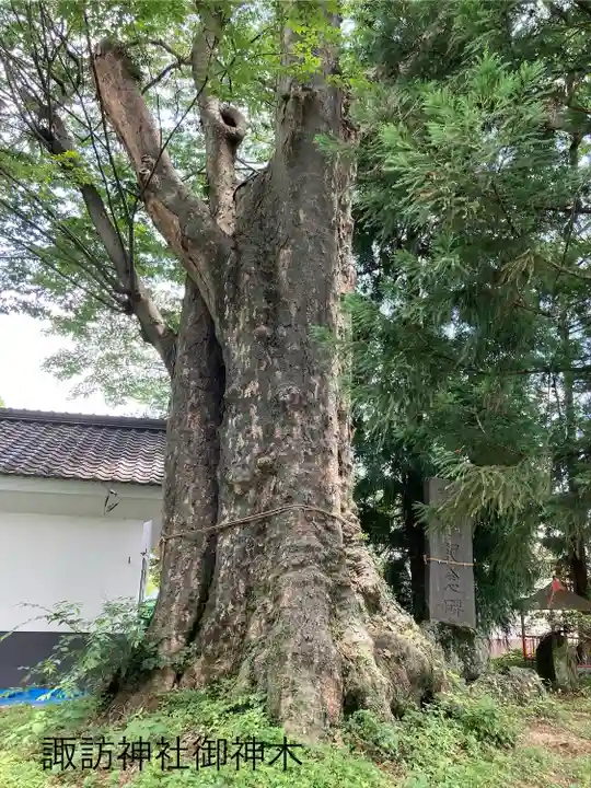 一本木諏訪神社(長野県)