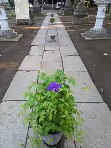 伏木香取神社(茨城県)(2024年05月10日(金) 06時40分58秒投稿)