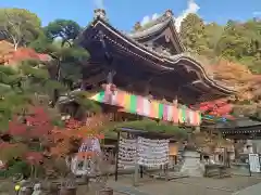 岡寺（龍蓋寺）(奈良県)