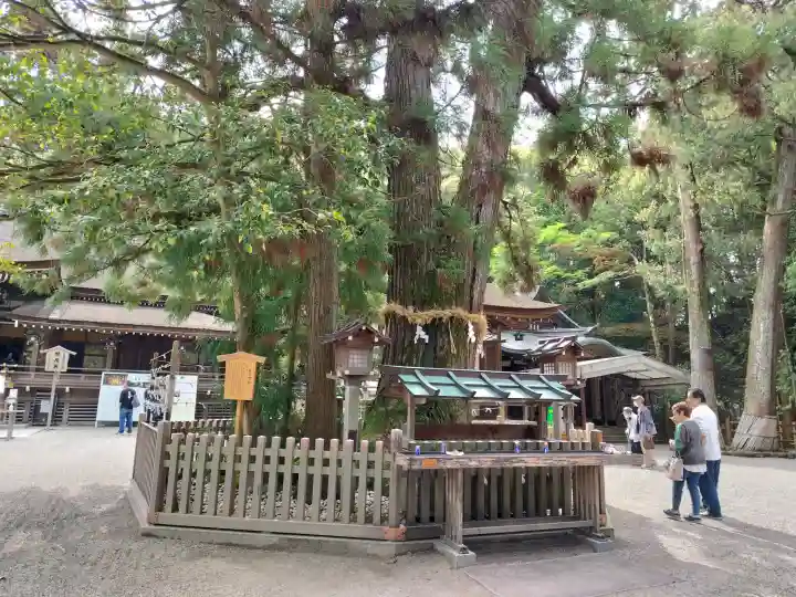 大神神社の{uncategorized: "未分類", other: "その他", undefined: "問題あり", building: "その他建物", grave: "お墓", sacred_gate: "鳥居", guardian: "狛犬", statue: "像", buddha: "仏像", history: "歴史", nature: "自然", garden: "庭園", animal: "動物", pagoda: "塔", temizu: "手水舎", mountain_gate: "山門・神門", sanctuary: "本殿・本堂", subordinate: "末社・摂社", art: "芸術", scenery: "景色", jizo: "地蔵", ema: "絵馬", goshuin: "御朱印", omikuji: "おみくじ", items: "授与品その他", amulet: "お守り", goshuincho: "御朱印帳", eats: "食事", festival: "お祭り", votive_dance: "神楽", shichigosan: "七五三参", wedding: "結婚式", experience: "体験その他", initially: "初詣", around: "周辺", anti_infection: "感染症対策"}