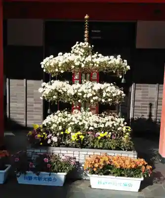 高幡不動尊 金剛寺の塔