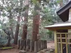 香取神社の自然