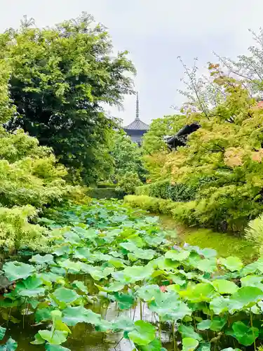 東寺（教王護国寺）(京都府)