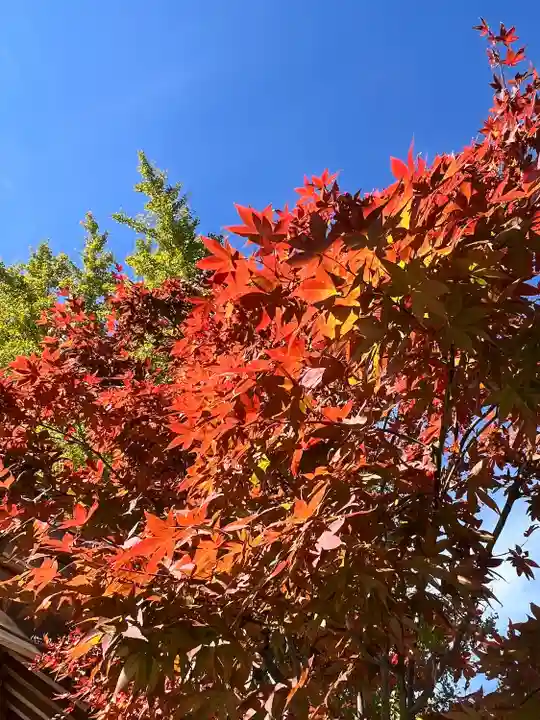紅葉八幡宮(福岡県)
