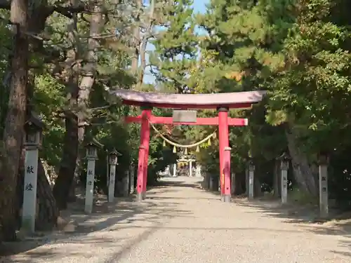 野田八幡宮の鳥居