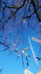 尾張猿田彦神社の自然