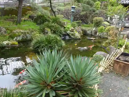 徳恩寺の庭園