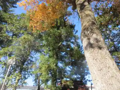 宗吾神社(山梨県)